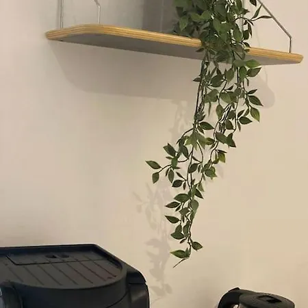 Cozy Τίρανα